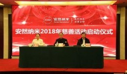 安然最新爆料新闻报道,揭秘能源巨头背后的惊人真相