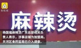 最新杨国福爆料新闻视频,揭秘餐饮行业内幕