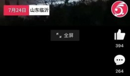 临沂王女士最新爆料,揭秘惊人真相！