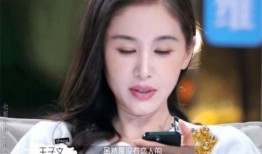 刘大锤最新爆料王子文