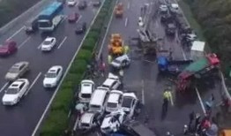 杭州高速野猪最新爆料事件,惊险瞬间，交通受阻紧急应对